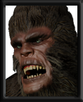 Sasquatch
