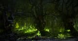 Corrupted Forest Corrupted Forest