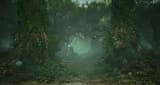 Living Forest Living Forest