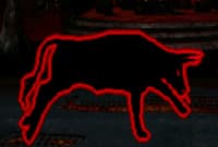 Animality Animality